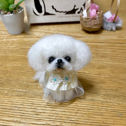 羊毛フェルト ビションフリーゼ ビション 犬 ミニチュア