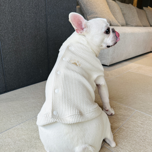 犬服ハンドメイド　バックオープンくまさんジャガードタンク 犬服ハンドメイド バックオープンくまさんジャガードタンク 【公式通販】