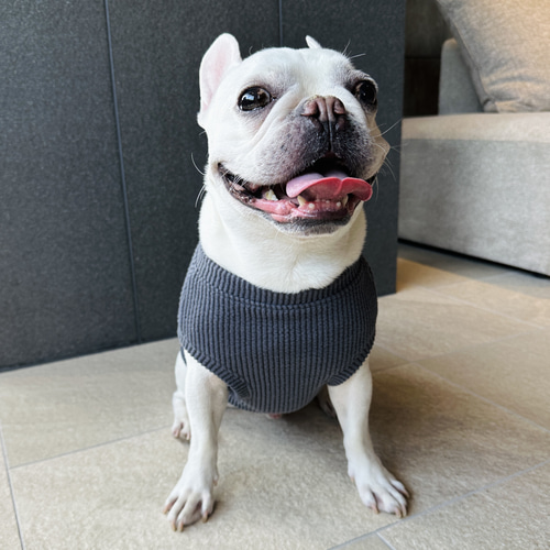 犬服☆ハンドメイド☆暖か！バックオープンタンクトップ