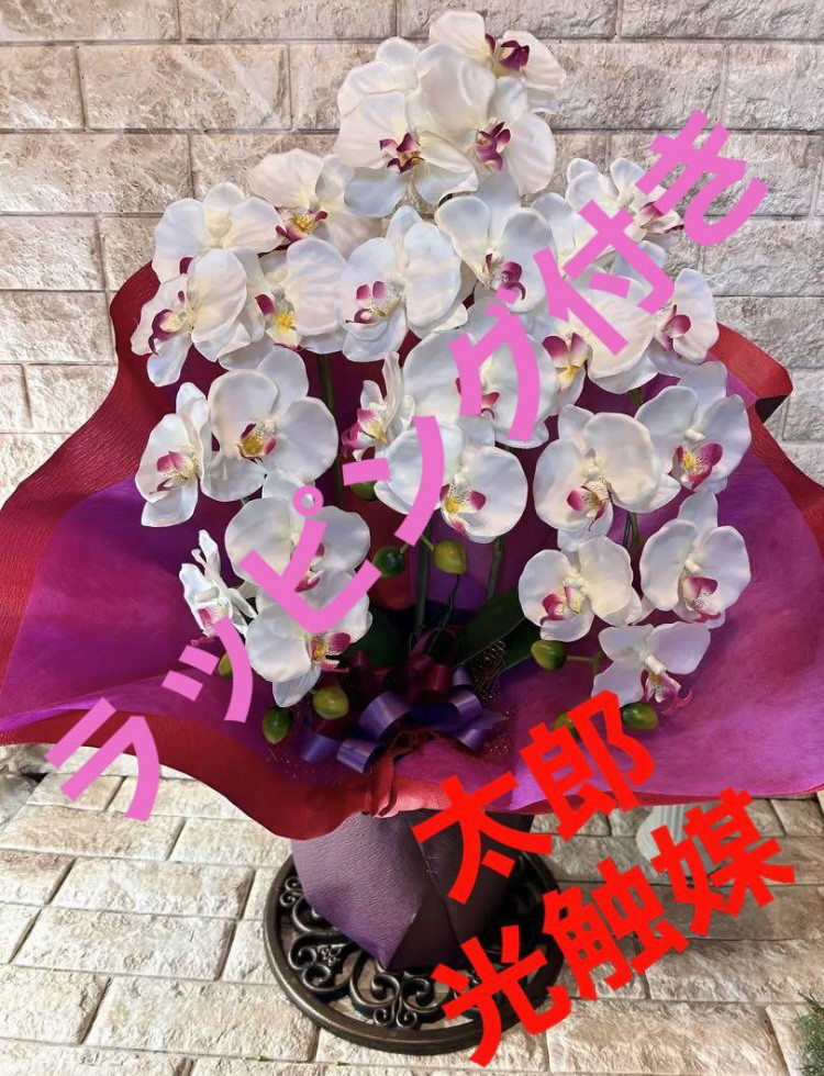 光触媒 人工観葉植物 ウォールグリーン フェイクグリーン 胡蝶蘭 光触媒 人工観葉植物 ウォールグリーン フェイクグリーン 胡蝶蘭