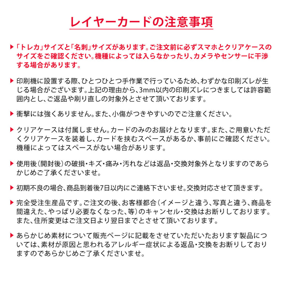 インナーシート インナーカード 猫 ねこ 黒猫 クリアー 透明 名入れ可 7枚目の画像