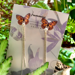 帝王斑蝶 項鍊 耳環 手鍊 樹脂 組合 銀飾 禮盒 禮物 生日 蝴蝶 第5張的照片