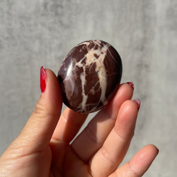 ラテアートのような【チョコレートジャスパー】パームストーン 握り石 鉱物 天然石 10枚目の画像