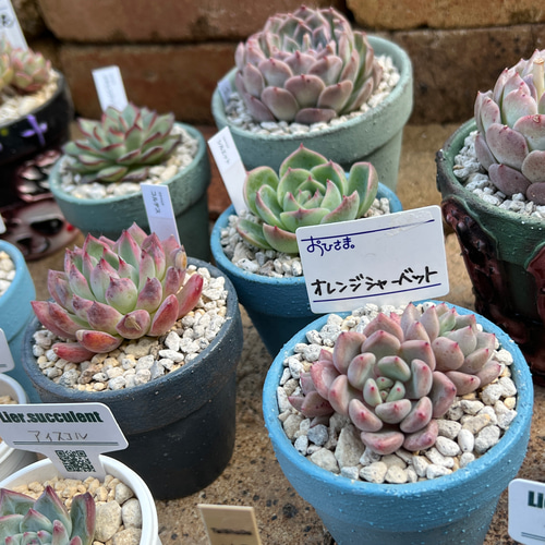 リメイク鉢（3号） アンティーク調 一輪挿し・花瓶・花器 べあぐら