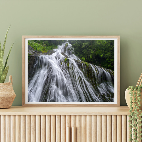 原秀樹、【滝桜】、希少な額装用画集より、美品、新品額装付、インテリア 原秀樹、【滝桜】、希少な額装用画集より、美品、新品額装付