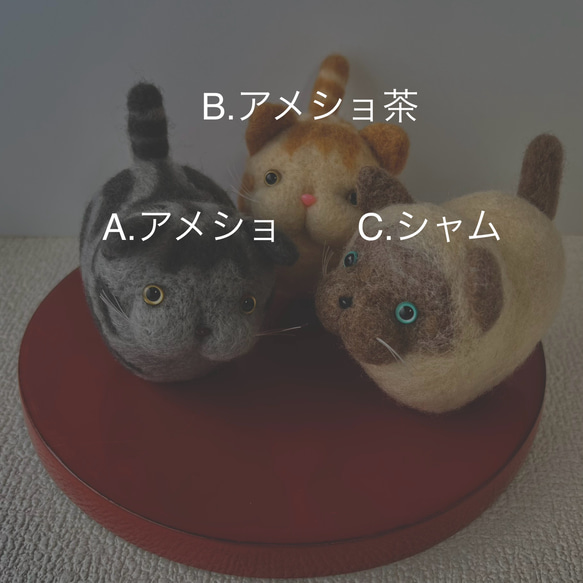 【受注生産】マーキング猫ちゃん・bグループ 2枚目の画像