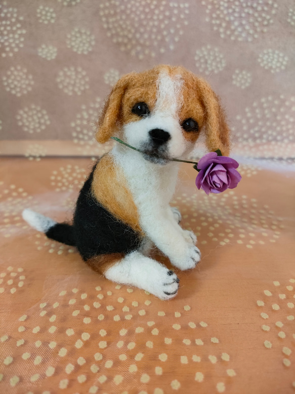 羊毛 手のり猫 オーダー窓口 羊毛フェルトで作る てのり猫 | MEBARU |