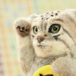 ⁑羊毛フェルト⁑招きマヌル猫 4枚目の画像