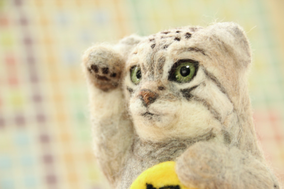⁑羊毛フェルト⁑招きマヌル猫 4枚目の画像