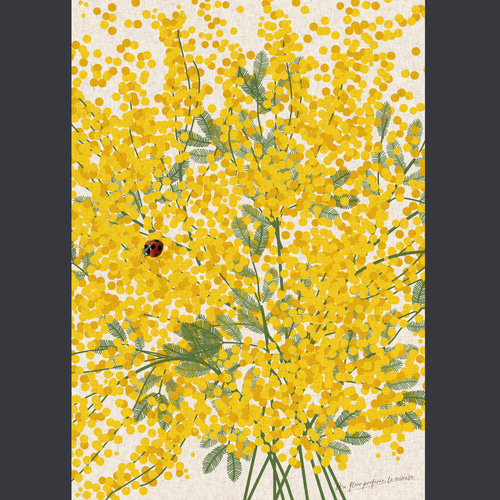 大人っぽいミモザの花】エクリュ背景 インテリア アートポスター