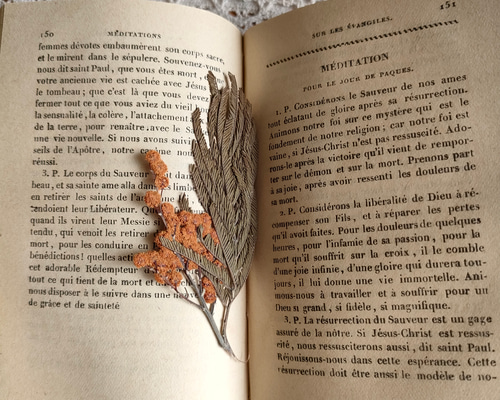 388ae0c231d0a718354e345996a0ec