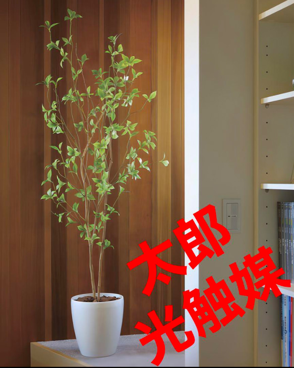 光の楽園 光触媒 人工観葉植物 ウォールグリーン フェイク 光の楽園 光触媒 人工観葉植物 ウォールグリーン フェイク