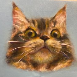 まるまるネコ　油絵 まるまる猫 | カトフレ STORE
