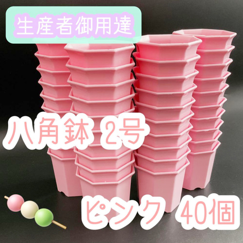 八角鉢 ピンク 40個 2号 2寸 シャトル鉢 多肉植物 エケベリア 観葉植物