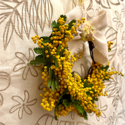 感謝SALE!もりもりミモザのリース　26㎝　銀葉アカシア　花かんざし　春 467»◤完売致しました。ありがとうございます◢春リース*アカシア