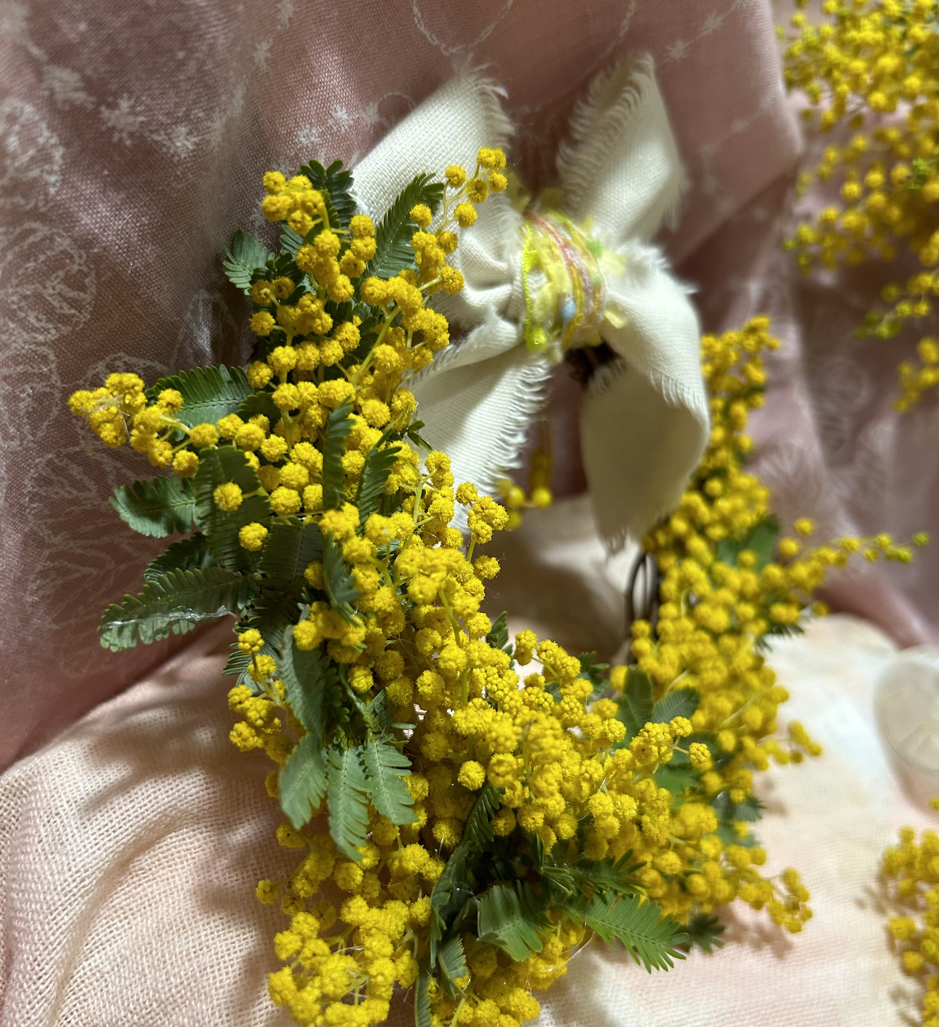 «467»◤完売致しました。ありがとうございます◢春リース*アカシアミモザ*リース*生花*フレッシュ*プレゼント*母の日