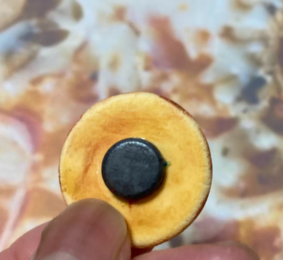 受注制作　ミニチュアピザのマグネット 6枚目の画像