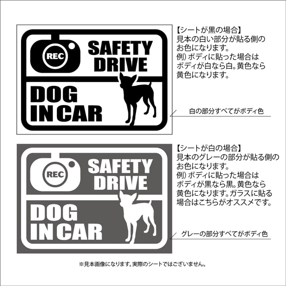 DOG IN CAR　ステッカー（ミニチュアピンシャー） 1枚目の画像