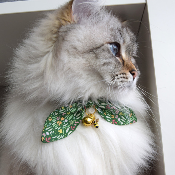 緑のかわいいイラストの小さなハニー猫の首輪、安全バックル付き - かわいい猫のリボンアクセサリー 5枚目の画像