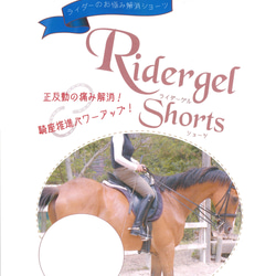 日本製　乗馬用パンツ　ライダーゲル　Mサイズ　送料無料　乗馬用ショーツ 1枚目の画像