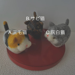 【受注生産】マーキング猫ちゃん・dグループ 2枚目の画像
