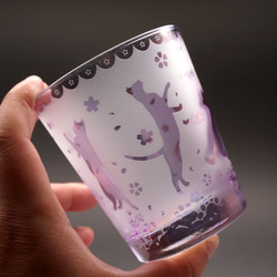 跳躍貓皂玻璃【Oka】 第4張的照片