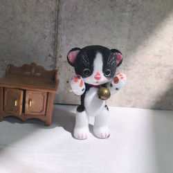 ハニーベア カスタム ミモザ ホワイト 日本猫 ネコ 清 30 3枚目の画像