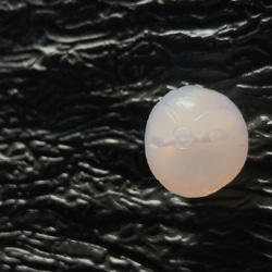 ゴビ石−1221 ゴビ瑪瑙　ボタン　『つぼみ』 16枚目の画像