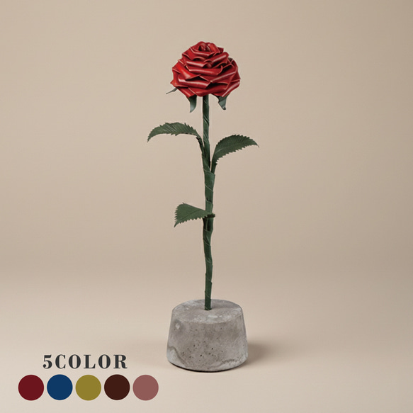 バラ台木50本専用出品 小売 バラ台木専用出品50本 Amazon.co.jp