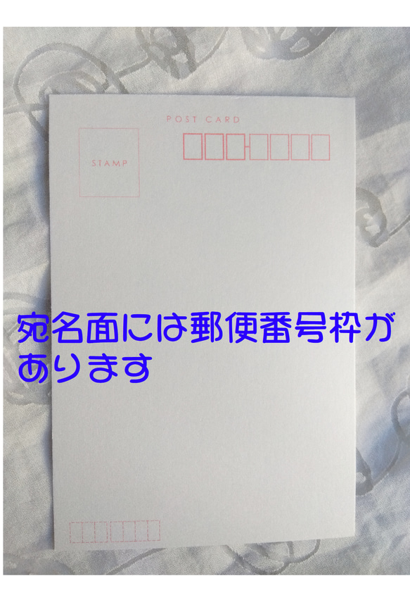 選べるポストカード３枚セット　NO.３９　黒わんこ・桜　のイラストのポストカード 5枚目の画像