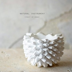 U様予約品　Natural instrument　アダンの実（white）器のみ 1枚目の画像