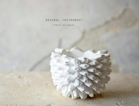 U様予約品　Natural instrument　アダンの実（white）器のみ 1枚目の画像