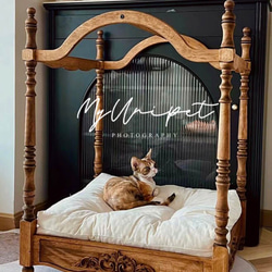 わんちゃん二階建てハウス（一階寝室・食堂 2階トイレ仕様）どの様な