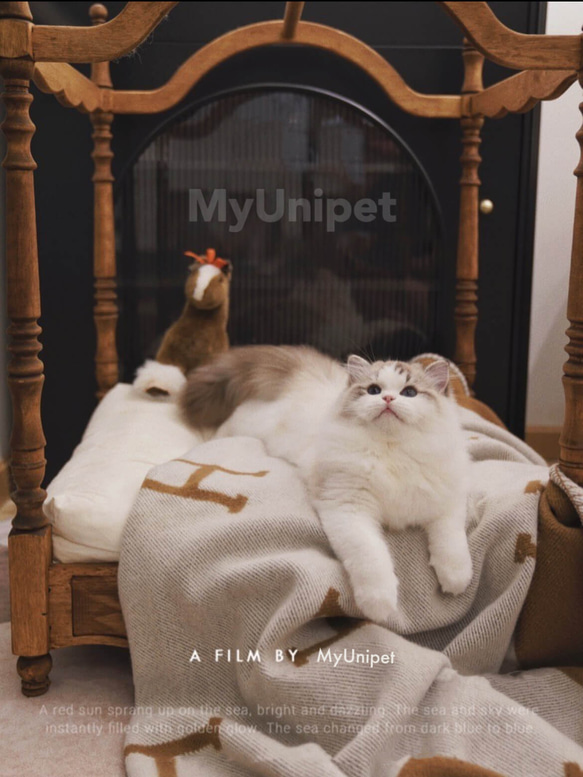 【ローマの休日】高級天然木製ペットベッド　キャノピーベッド　猫用ベッド 犬用ベッド 高級ペット家具 9枚目の画像