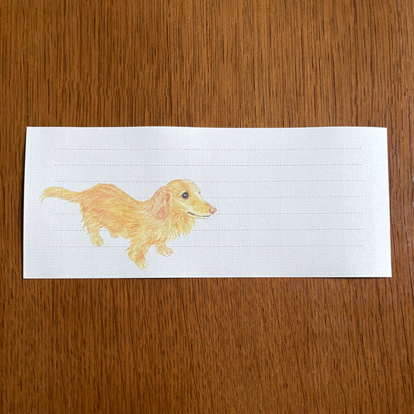 【スキップ様ご注文分】ミニチュアダックス：Dogs♡一筆箋 3枚目の画像