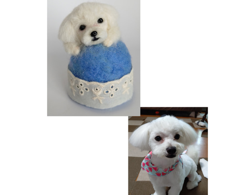 オーダー、愛犬風] 羊毛フェルト 小さなワンちゃんと一緒のピン