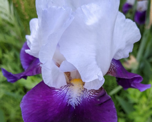 f1fa7dfe26ecf7cc6e336f8de4191e