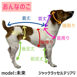 ヌビキルトベスト…ベスト/キルトベスト/ヌビベスト/全犬種対応/全サイズ対応/大型犬/中型犬/小型犬 13枚目の画像