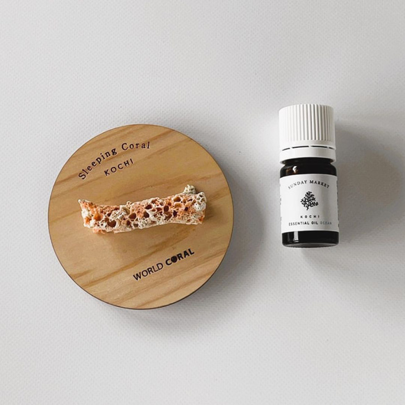 Sleeping Coral 宝石珊瑚と土佐ヒノキのアロマオイルのデュフューザー 4枚目の画像