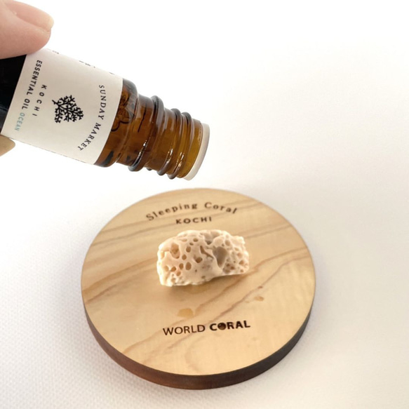 Sleeping Coral 宝石珊瑚と土佐ヒノキのアロマオイルのデュフューザー 2枚目の画像