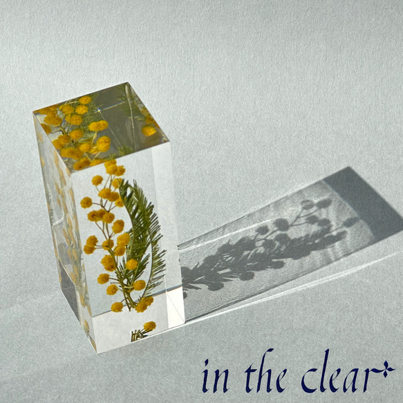 植物標本　ミモザ　黄色　レジン　3センチ角柱　高 5枚目の画像