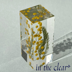植物標本　ミモザ　黄色　レジン　3センチ角柱　高 4枚目の画像