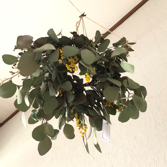 ミモザリース　パールアカシア　ユーカリ ミモザリース パールアカシア ユーカリ 【公式通販】