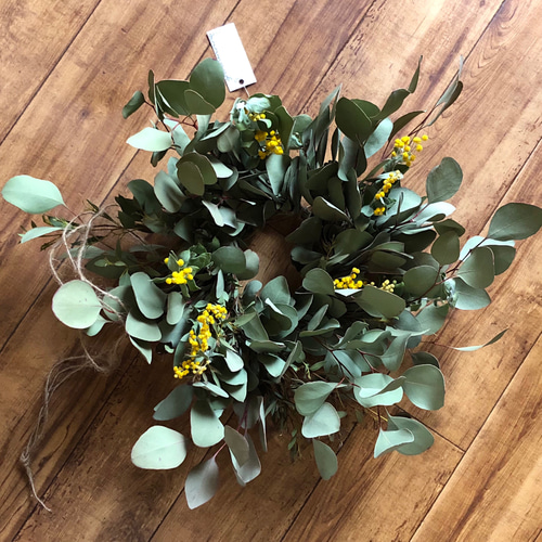 ミモザリースパールアカシアユーカリ