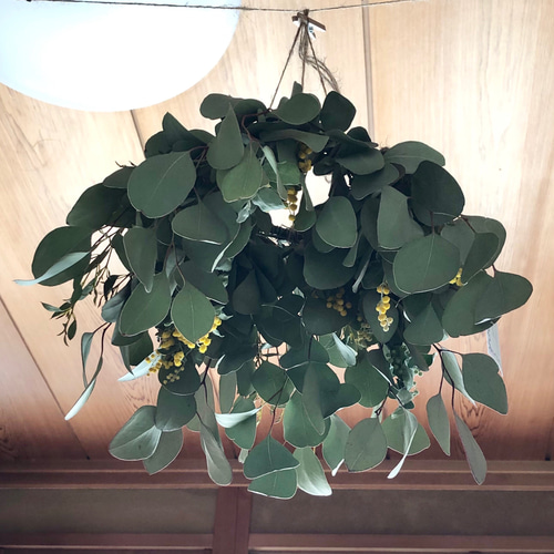 ミモザリースパールアカシアユーカリ