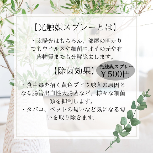 【枯れない植物◎】光触媒 無料ギフトラッピング グリーンバスケット フェイクグリーン  ユーカリポポラス 13枚目の画像