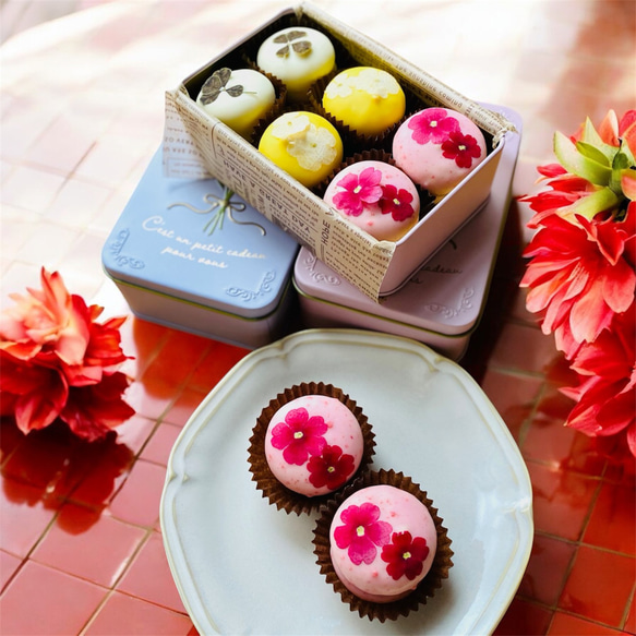マカロンをチョコレートでコーティング！「お花マカロンギフト缶」 2枚目の画像