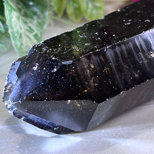 タントリックトリプレッツ✨　スモーキーレムリアンシード　クリスタル　原石　水晶 タントリックトリプレッツ✨ スモーキーレムリアンシード