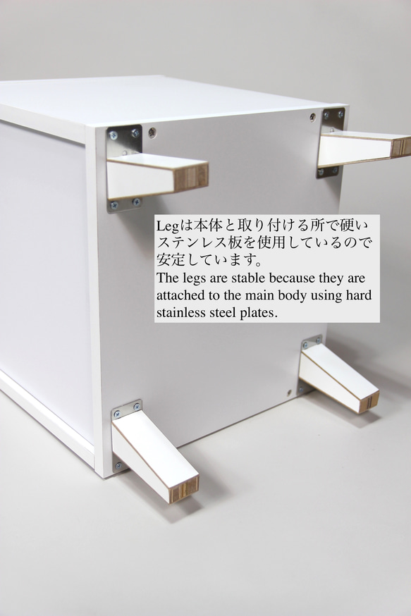 LPレコード収納 | アクリル付き扉 | おしゃれなキャビネット | レコードラック・ディスプレイ棚・ターンテーブル台 9枚目の画像