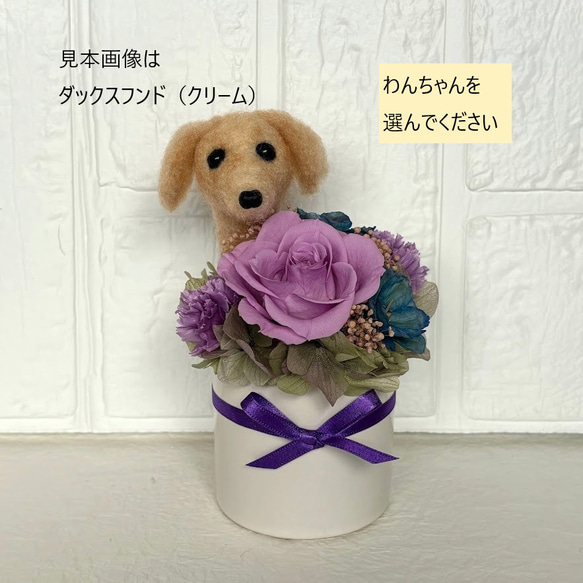 ②ちょこんと顔出す わんちゃん（小さめサイズ）＆ プリザーブド